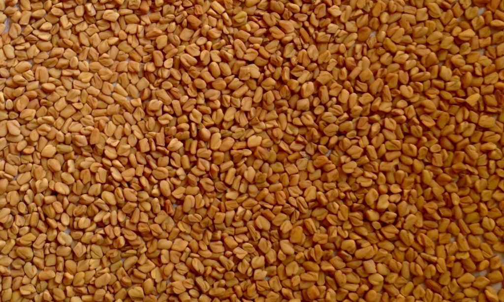 fenugreek seeds