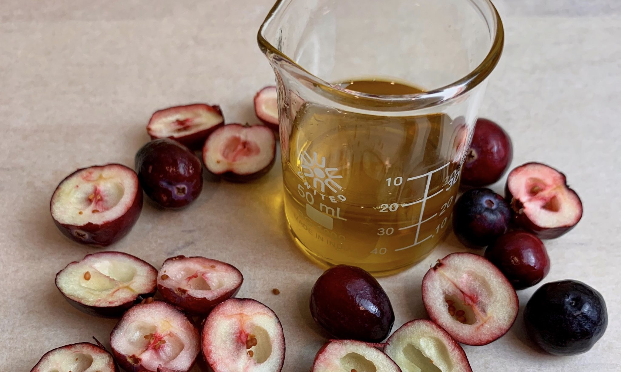 Cranberry Seed Oil Susan M Parker