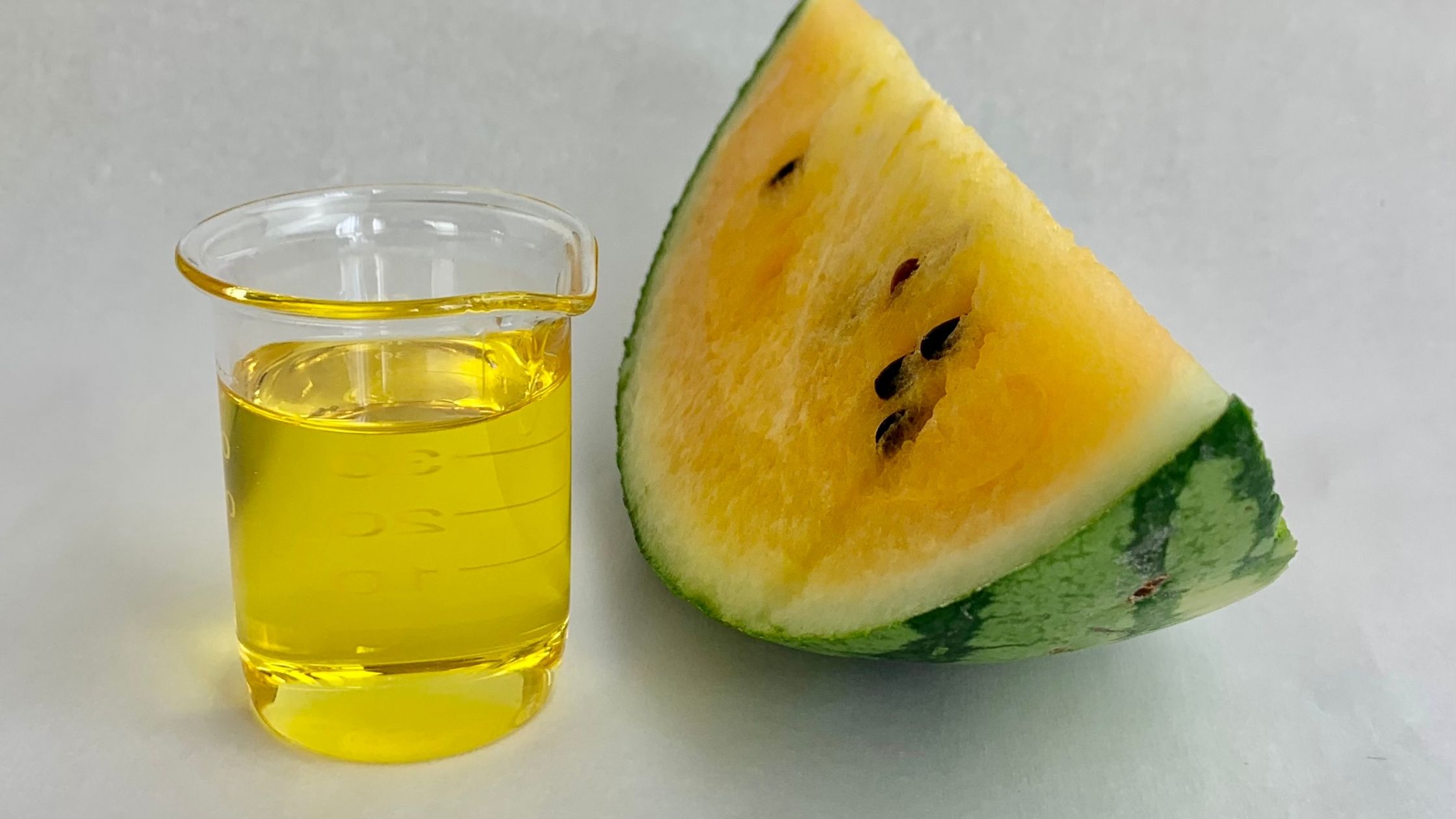 Melon Seed Oil Susan M Parker